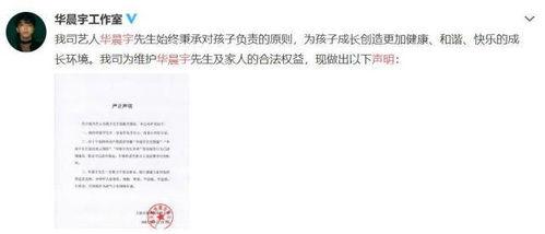 娱乐圈吃瓜作文,揭秘明星背后的故事